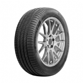 PNEU 215/65 R16 DELINTE DS2 102H